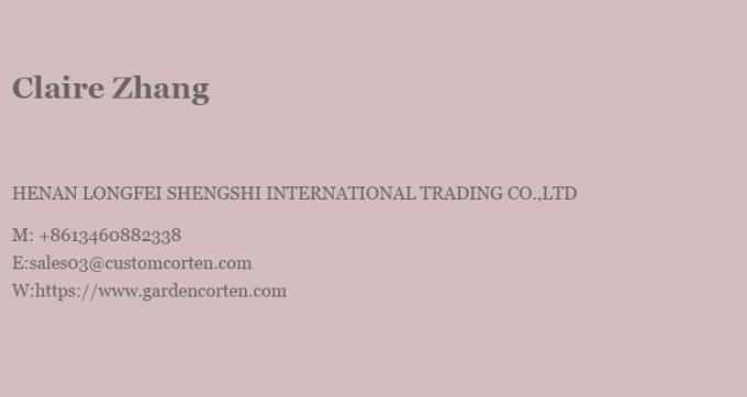 Κρεμασμένο καμινάρι ξύλου εσωτερικό χάλυβα προσαρμοσμένη μαύρη μπογιά διακοσμητική 26